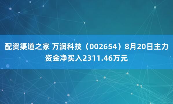 配资渠道之家 万润科技（002654）8月20日主力资金净买入2311.46万元