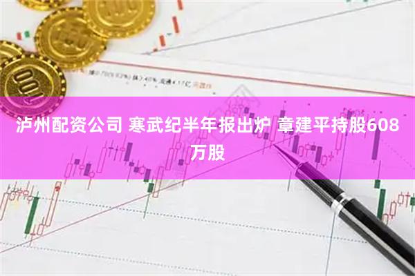 泸州配资公司 寒武纪半年报出炉 章建平持股608万股
