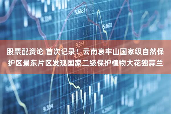 股票配资论 首次记录！云南哀牢山国家级自然保护区景东片区发现国家二级保护植物大花独蒜兰